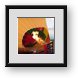 Buy Framed Print