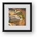 Buy Framed Print