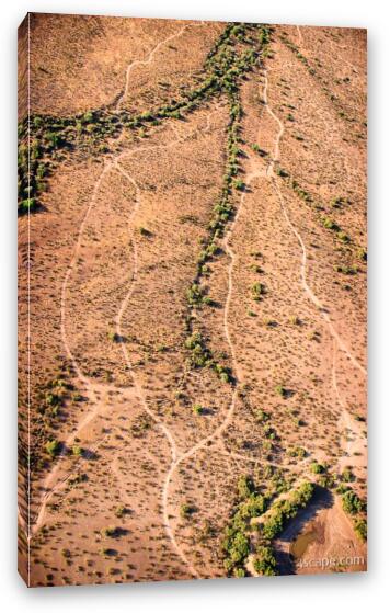 Aerial photo of Jeep trails in the desert Fine Art Canvas Print