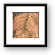 Aerial photo of Jeep trails in the desert Framed Print
