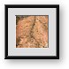 Buy Framed Print