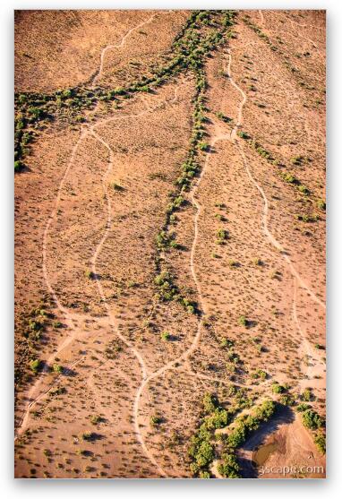 Aerial photo of Jeep trails in the desert Fine Art Print