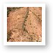 Aerial photo of Jeep trails in the desert Art Print