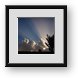 Buy Framed Print