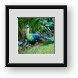 Buy Framed Print