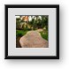 Buy Framed Print