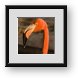 Buy Framed Print