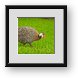 Buy Framed Print