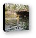 Swimmers and divers at Garden of Eden Cenote Canvas Print