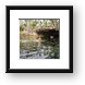 Swimmers and divers at Garden of Eden Cenote Framed Print
