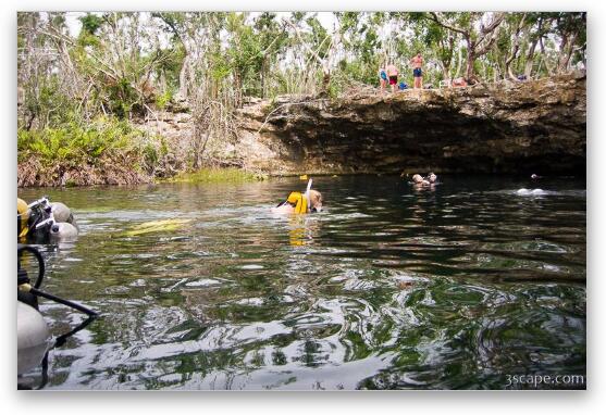Swimmers and divers at Garden of Eden Cenote Fine Art Metal Print