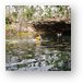 Swimmers and divers at Garden of Eden Cenote Metal Print