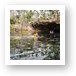 Swimmers and divers at Garden of Eden Cenote Art Print