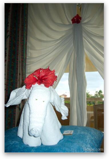 Elephant made from hand towels Fine Art Print