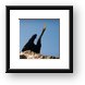 Black bird (stork?) Framed Print