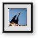 Buy Framed Print