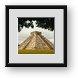 Buy Framed Print