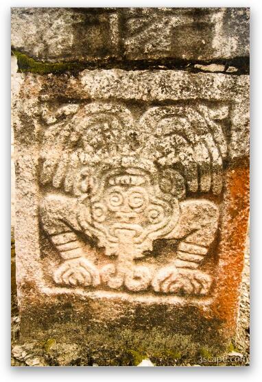 Mayan art Fine Art Metal Print