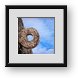 Buy Framed Print