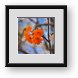Buy Framed Print