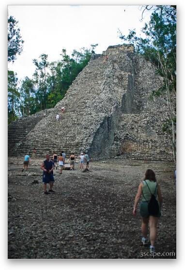 The main pyramid of Coba - taller than El Castillo Fine Art Metal Print