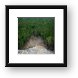 Looking down the steps of Coba's pyramid Framed Print