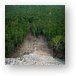 Looking down the steps of Coba's pyramid Metal Print
