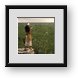 Buy Framed Print