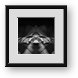 Buy Framed Print