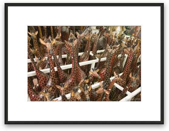 Giraffes in a corral Framed Fine Art Print