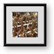 Buy Framed Print