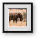 Buy Framed Print