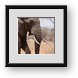 Buy Framed Print