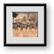 Buy Framed Print