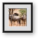 Buy Framed Print