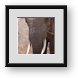Buy Framed Print