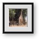 Buy Framed Print