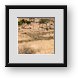 Buy Framed Print