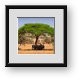 Buy Framed Print