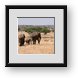 Buy Framed Print