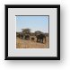 Buy Framed Print