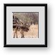 Buy Framed Print