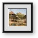 Buy Framed Print