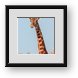 Buy Framed Print