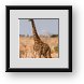 Buy Framed Print