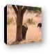 Elephant scratching its rear on a tree Canvas Print