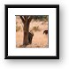 Elephant scratching its rear on a tree Framed Print