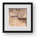 Buy Framed Print