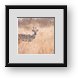 Buy Framed Print