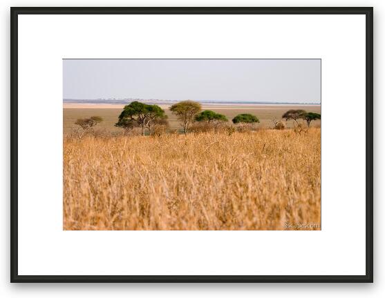 Tarangire landscape Framed Fine Art Print